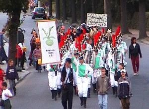 Umzug des Kohlrabi-Inselvereins mit Zünften und Fahnen