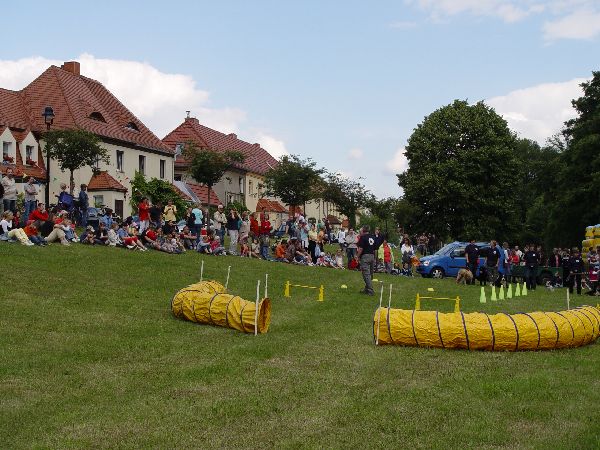 Gelbe Hindernisstangen auf einer Wiese vor einem Zuschauerhügel