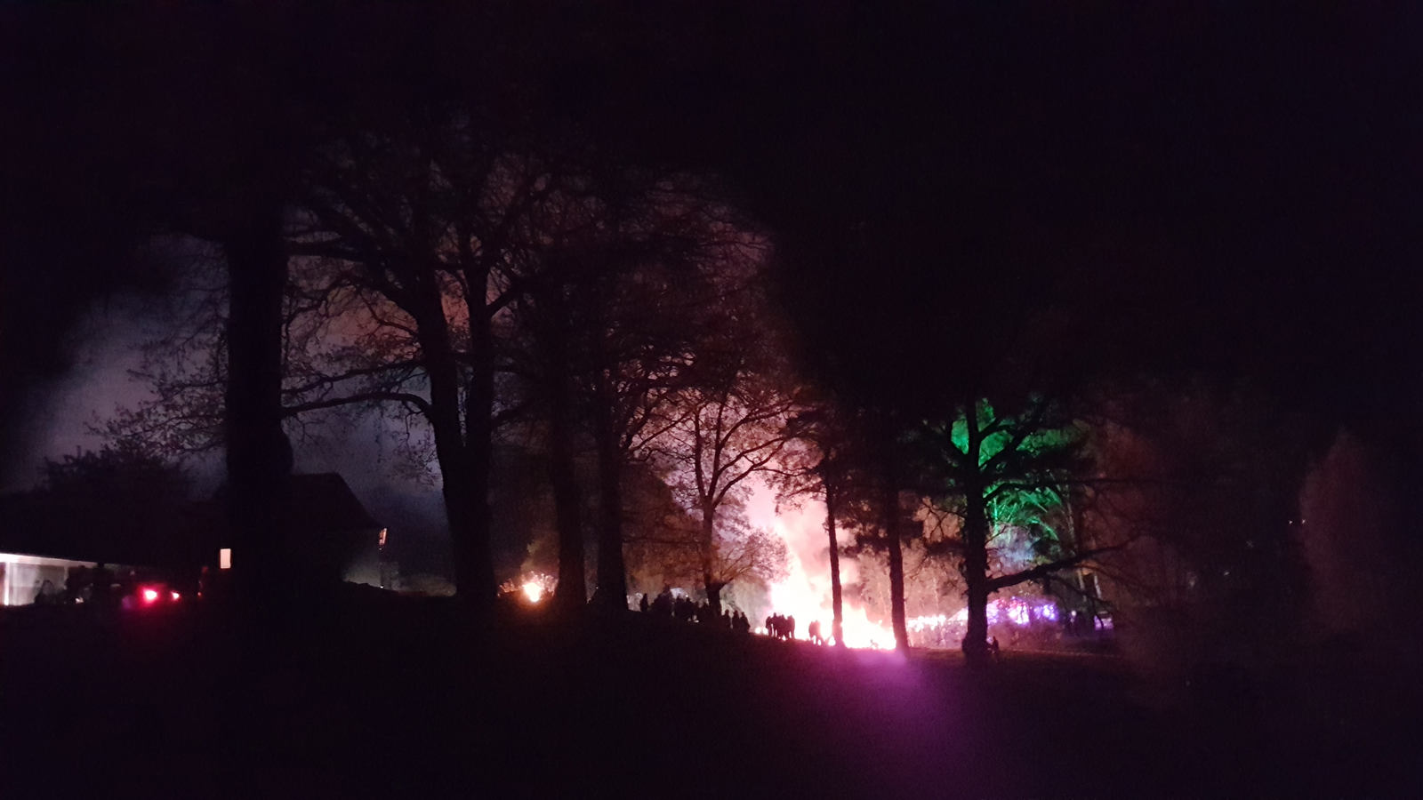 Bäume nachts mit bunten Lichtern und Projektionen beleuchtet