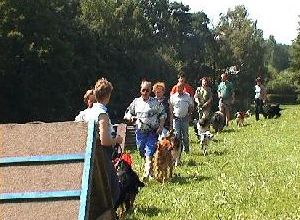 Gruppe mit Hunden bei einer Wanderung auf dem Kohlrabiweg